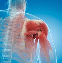 ACALMAR MÚSCULOS DOLORIDOS E RÍGIDOS